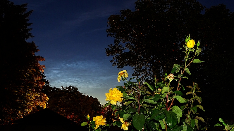 Helles NLC-Display über der Bonner Südstadt, aufgenommen am 17.06.2019 um 23:19 MESZ