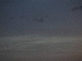 15.07.2009, 04:35 MESZ