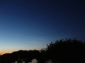 03.07.2014, 22:49 MESZ